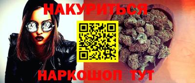 сатива Нальчик