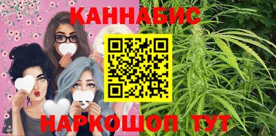 сатива Нальчик