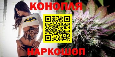 сатива Нальчик
