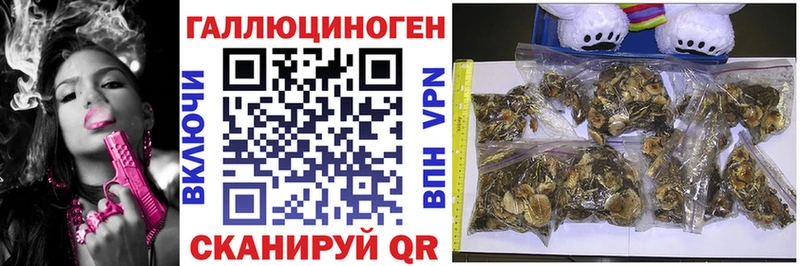 Псилоцибиновые грибы Psilocybine cubensis  Бирск 