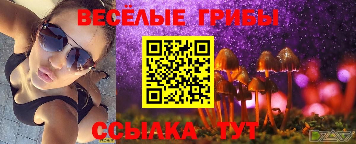 Галлюциногенные грибы прущие грибы Бирск