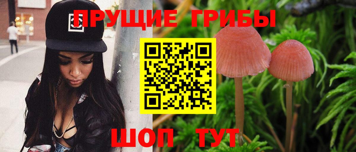Псилоцибиновые грибы Magic Shrooms  Вход с VPN  Бирск 